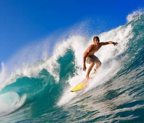 开云体育-梦剧场折翼，本菲卡双翼齐飞，战术奏效，曼联整场无力还手，梦剧场折翼，本菲卡双翼战术完胜曼联