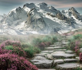 kaiyun-v7.2.5版本发布，2026年3月22日，一次关于效率与安全的深度进化