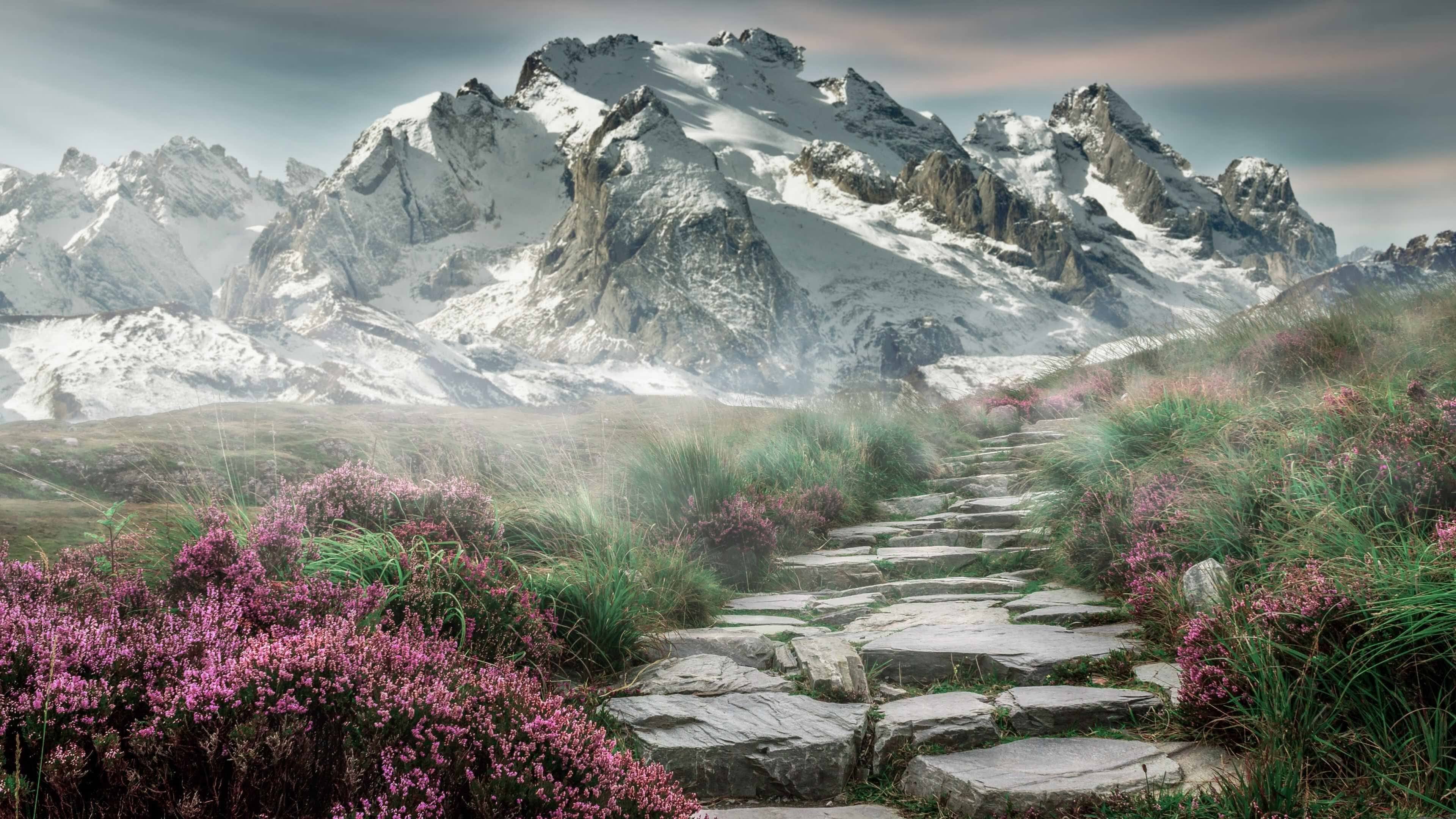 v7.2.5版本发布，2026年3月22日，一次关于效率与安全的深度进化